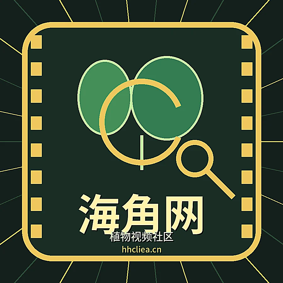 海角网